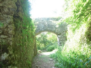 Photo 2. Path